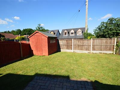 Picture 11